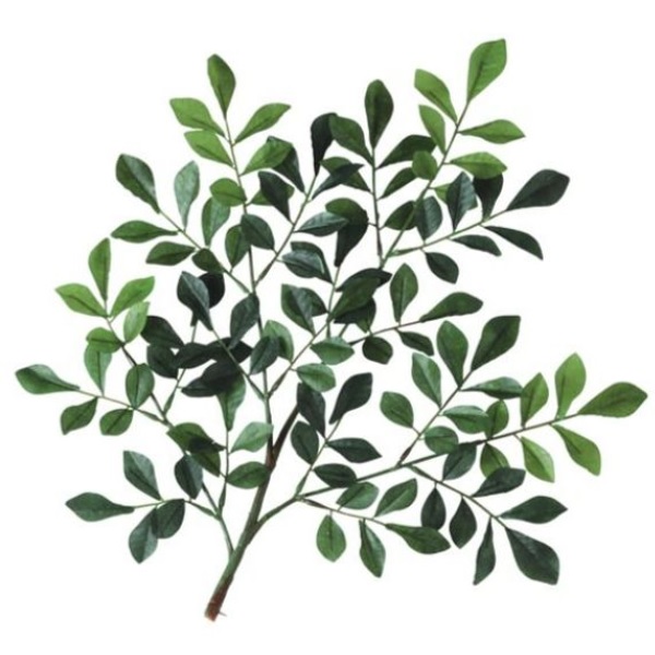 人工観葉植物 トネリコ スプレー 長さ35cm （P145-91889) （代引き不可） インテリアグリーン フェイクグリーン
