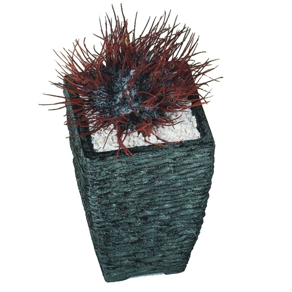 人工観葉植物 アザミサボテン ロックレッド ポット付き 高さ22cm （P114-98787) （代引き不可） インテリアグリーン フェイクグリーン