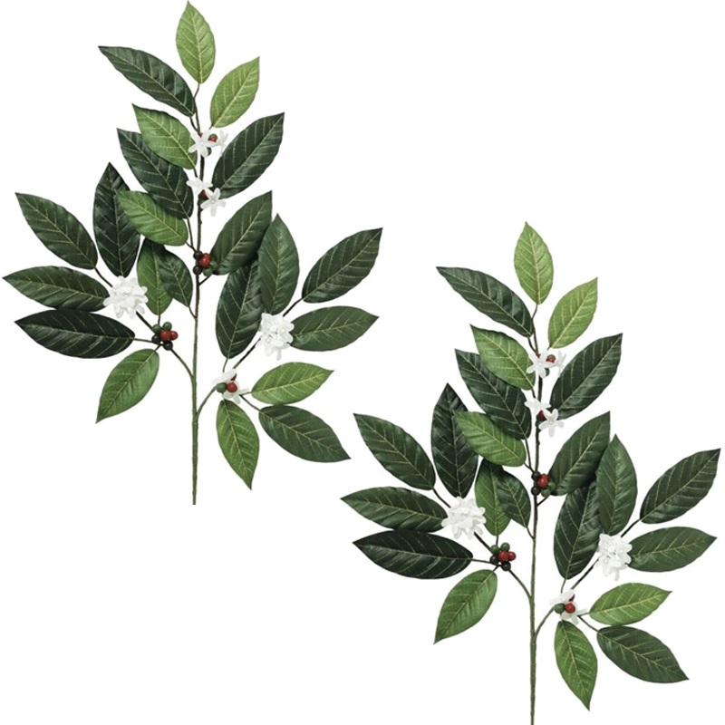 人工観葉植物 コーヒー スプレー （2本入り） 長さ60cm （P145-99026) （代引き不可） インテリアグリーン フェイクグリーン